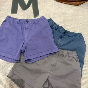 Set of Three Men's Chubbies Shorts